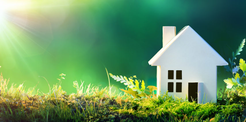Green Trends focus on indoor air quality